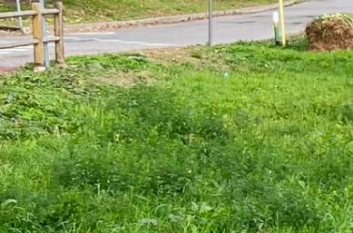 Terreno edificabile a Calusco d'Adda