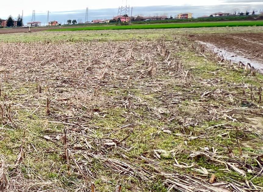 Terreno Agricolo a Mozzo