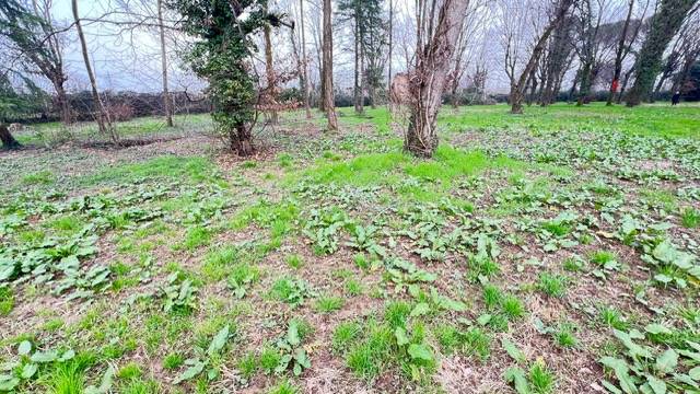 2.500 mq di terreno agricolo pianeggiante 