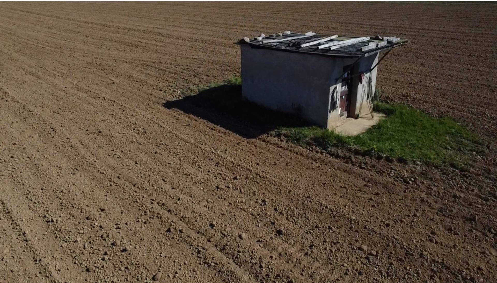 TERRENO AGRICOLO DI 5.000 MQ CON RUSTICO – ACCESSO DIRETTO DA STRADA ASFALTATA