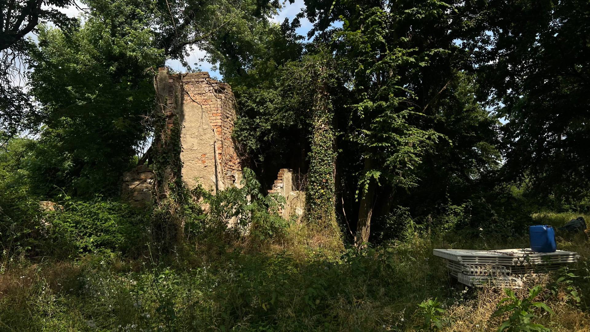 Proprietà agricola di circa un ettaro 