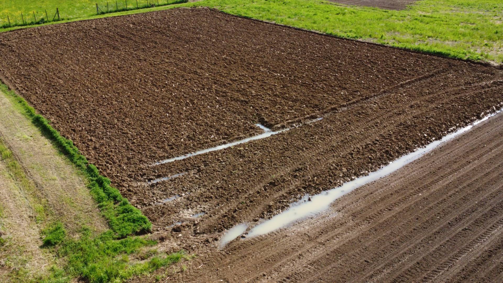 TERRENO AGRICOLO DI 2.000 MQ – PIANEGGIANTE E FACILMENTE ACCESSIBILE